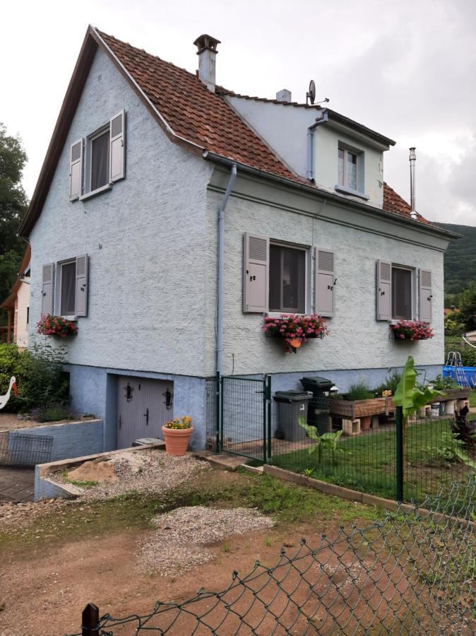 Gite Les Chiwawas D'Alsace ケゼルスベール エクステリア 写真