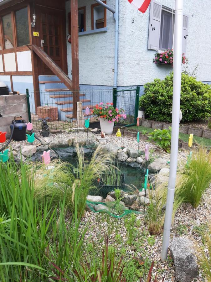 Gite Les Chiwawas D'Alsace ケゼルスベール エクステリア 写真