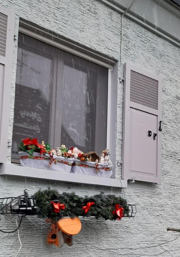 Gite Les Chiwawas D'Alsace ケゼルスベール エクステリア 写真
